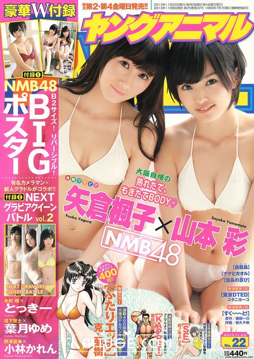 [Young Animal] 2013 No.22 山本彩 矢倉楓子 とっきー 小林かれん 葉月ゆめ [32P]