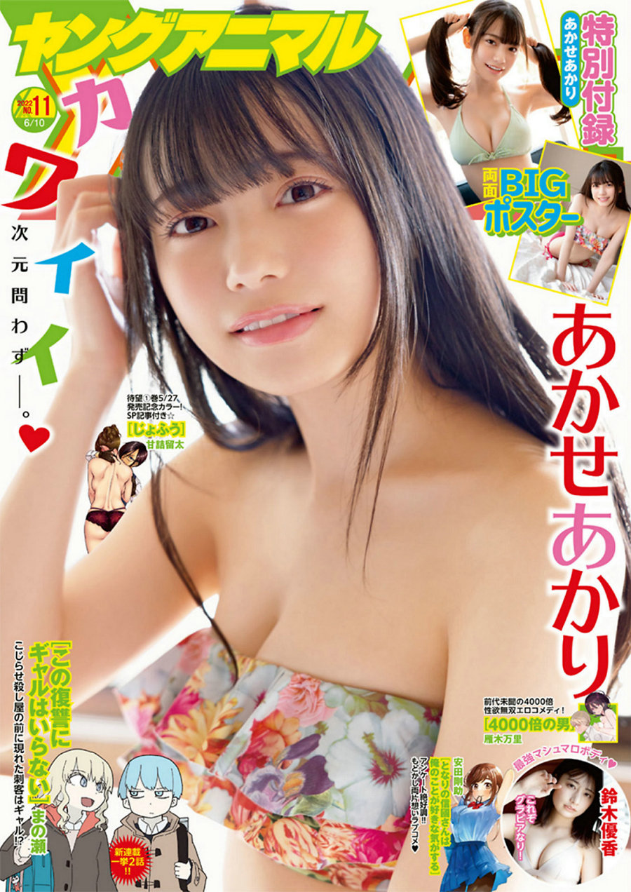 [Young Animal] 2022 No.11 Akari Akase あかせあかり Yuka Suzuki 鈴木優香 [11P]