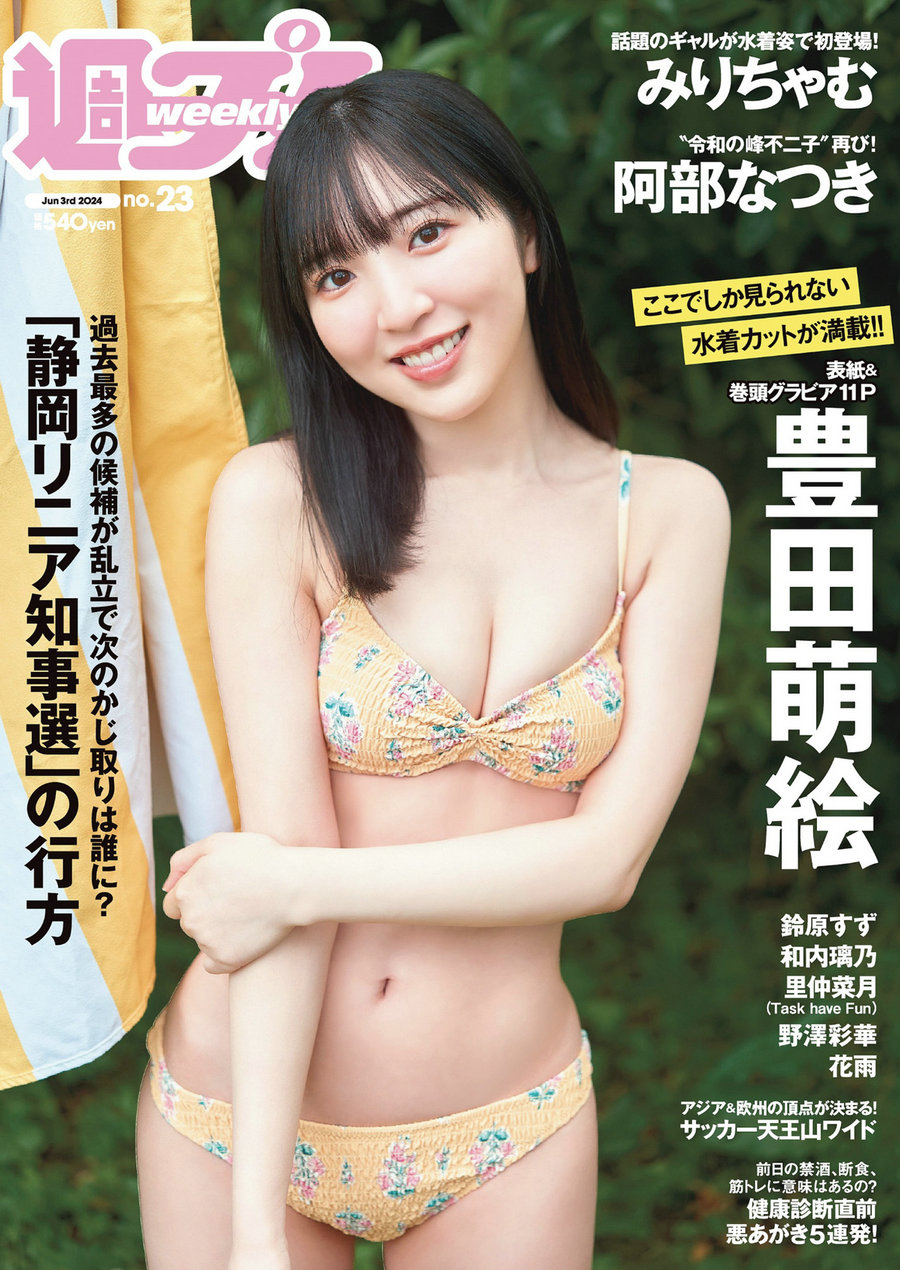 [Weekly Playboy] 2024 No.23 豊田萌絵 みりちゃむ 阿部なつき 鈴原すず 和内璃乃 里仲菜月 野澤彩華 花雨  ...