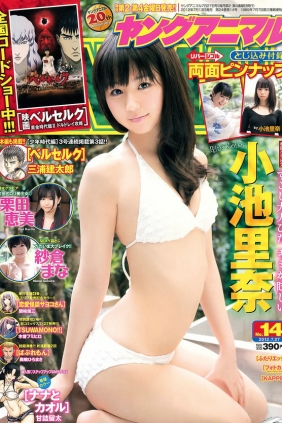 [Young Animal] 2012 No.14 小池里奈 栗田恵美 篠崎爱 [26P]